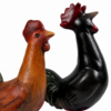 11.2 Conjunt Gall gallina del prat marro gall gallina del penedes negre MUTT Gall del Prat - MUTT