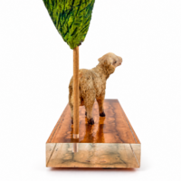 T7_J Xai d'or sota d'arbre peana d'or MUTT Marrà d’Or - MUTT